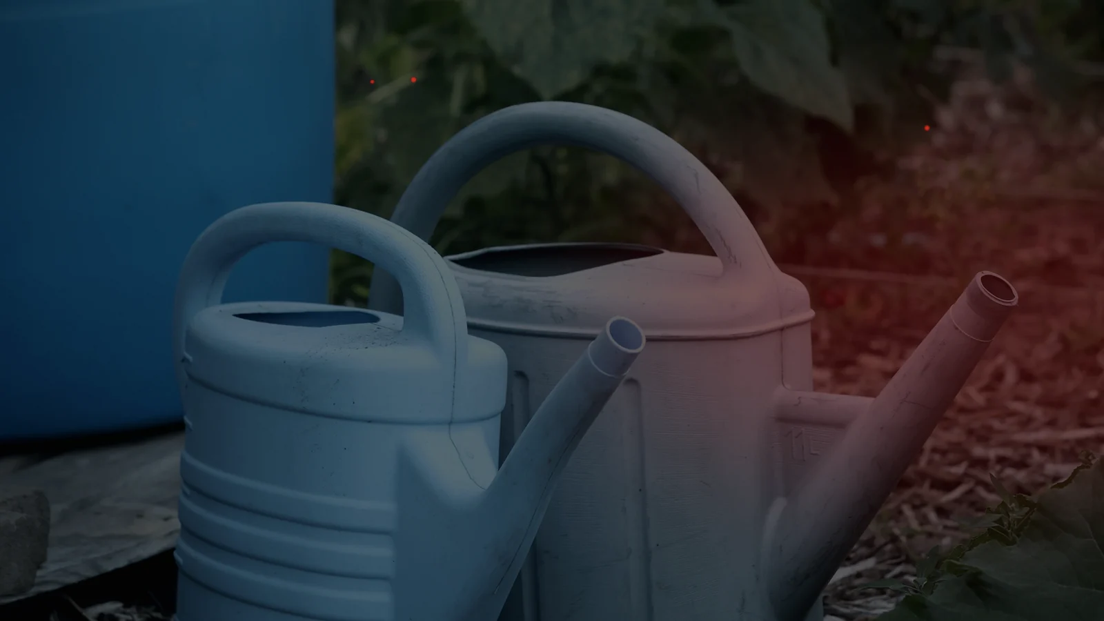 A rain barrel and watering cans used to collect and manage rainwater