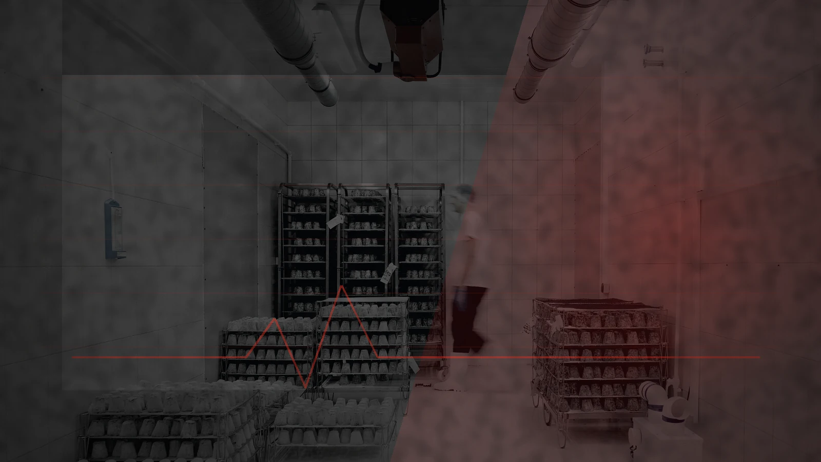 A worker moving perishable food inside a temperature-controlled storage room, illustrating the cold chain at risk during power loss